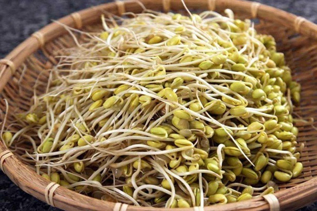 Đi mua giá đỗ mà thấy có 3 đặc điểm này thì tốt nhất nên tránh xa, không có dinh dưỡng lại còn hại sức khỏe - Ảnh 2. Đi mua giá đỗ mà thấy có 3 đặc điểm này thì tốt nhất nên tránh xa, không có dinh dưỡng lại còn hại sức khỏe - Ảnh 2.