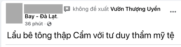 Khu check in Vườn Thượng Uyển Bay bị dân mạng đánh giá 1 sao thẳng tay, bị đề nghị dỡ bỏ trả lại cảnh quan cho Đà Lạt! - Ảnh 5. Khu check in Vườn Thượng Uyển Bay bị dân mạng đánh giá 1 sao thẳng tay, bị đề nghị dỡ bỏ trả lại cảnh quan cho Đà Lạt! - Ảnh 5.
