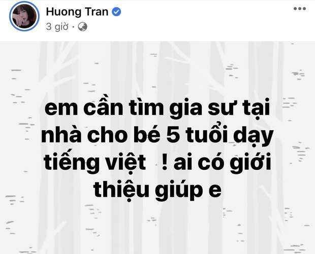 Vợ cũ đăng bài tìm gia sư cho con, Việt Anh có phản ứng gây chú ý - Ảnh 4.