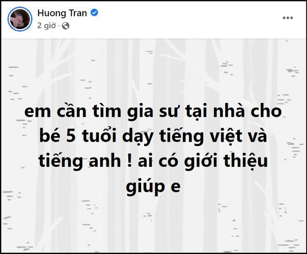 Vợ cũ đăng bài tìm gia sư cho con, Việt Anh có phản ứng gây chú ý - Ảnh 2.