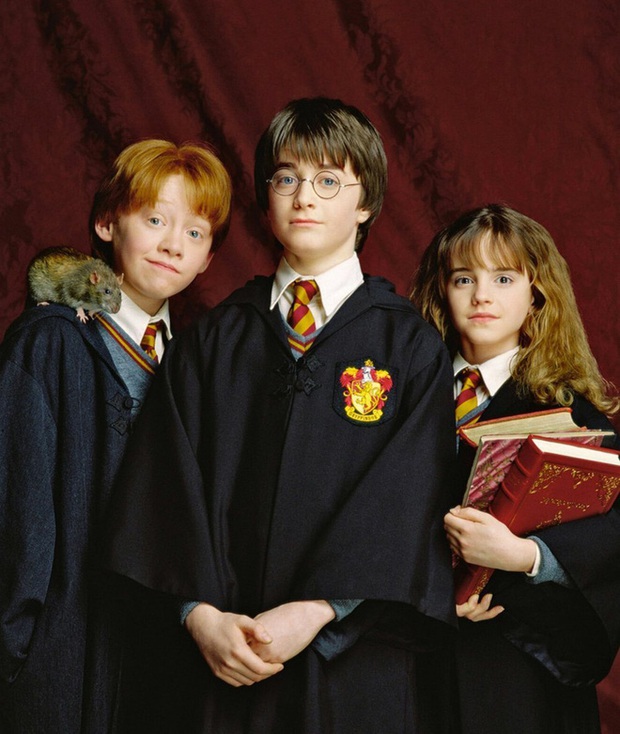 Melted with the audition clip that helped the Harry Potter trio get selected: The most talented is Emma Watson, so adorable that even her co-stars are stunned! - Photo 3.