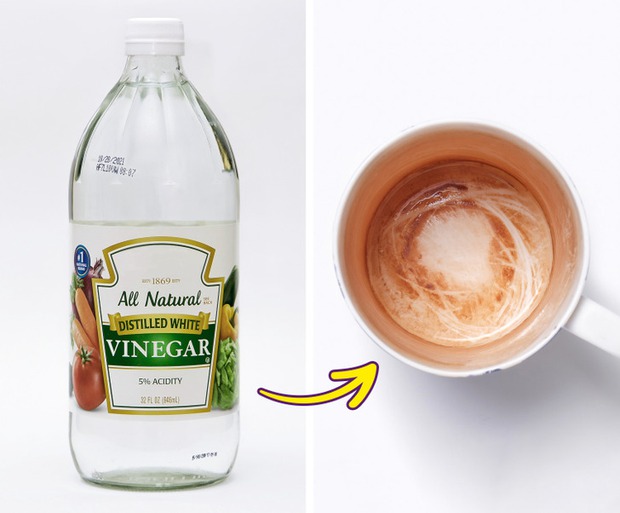 Photo of cup with vinegar