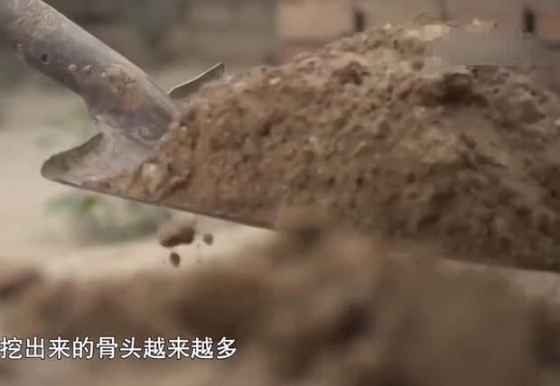 Con trai đi công tác 19 năm không về, cuối cùng xuất hiện trong hình hài bộ xương trắng dưới nhà vệ sinh, cảnh sát điều tra mới phát hiện chân tướng - Ảnh 2.