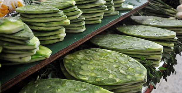 The girl sitting on mukbang, a plant that no one thought could be eaten, turned out to be a famous specialty of a local Vietnamese? - Photo 4. The girl sitting on mukbang, a plant that no one thought could be eaten, turned out to be a famous specialty of a local Vietnamese? - Photo 4.