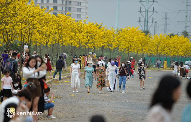 Closed the hottest Phong Linh flower street in Hanoi from tomorrow March 19 - Photo 1.