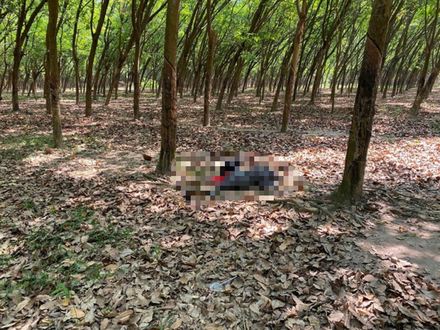 The woman with her head covered died in the Dong Nai rubber lot - Photo 1.