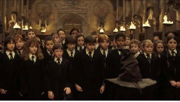 7 lần Harry Potter phi logic đến sợ: Hermione giấu nghề bí ẩn, tiết lộ sự thật khủng đằng sau bùa yêu - Ảnh 2.