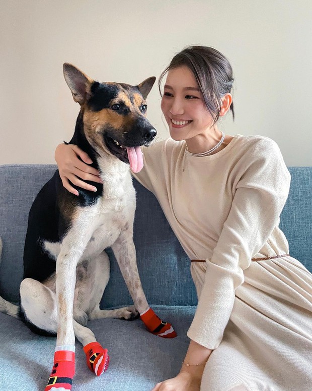 Walking at night, a contestant in Miss Universe was seriously injured by a strange dog and had to be hospitalized urgently because of profuse bleeding - Photo 4.