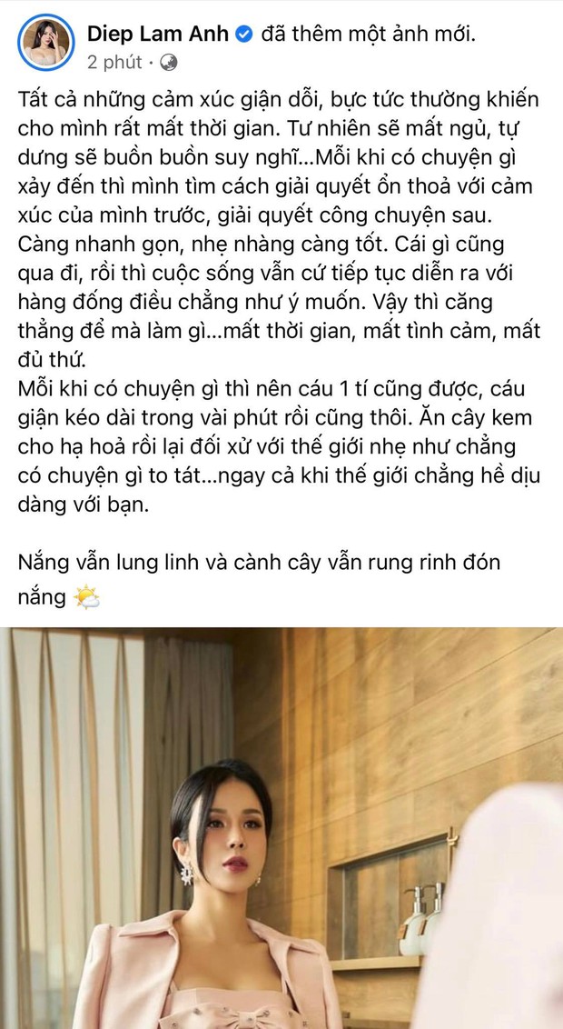 Đây là thái độ thật của Diệp Lâm Anh khi đối mặt với drama, chính thất làm 1 việc ít ai ngờ đến? - Ảnh 2. Đây là thái độ thật của Diệp Lâm Anh khi đối mặt với drama, chính thất làm 1 việc ít ai ngờ đến? - Ảnh 2.