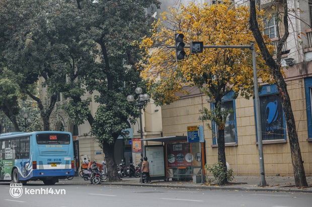 The love season of Hanoi in March, even the stone turns into a poet, and people have a headache! - Photo 4. The love season of Hanoi in March, even the stone turns into a poet, and people have a headache! - Photo 4.