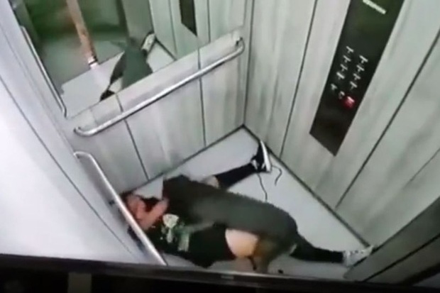 Dắt chó cưng vào thang máy chung cư, cô gái trở ra với bộ dạng đẫm máu thảm thương, cảnh quay diễn biến sự việc từ camera gây sốc - Ảnh 3.