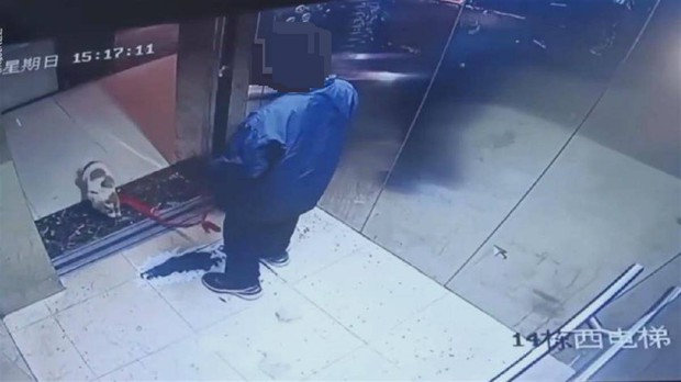 Bé trai cố tình dùng dây xích siết cổ chó con đến chết trong thang máy, video ghi lại sự việc khiến người lớn cũng bàng hoàng - Ảnh 2. Bé trai cố tình dùng dây xích siết cổ chó con đến chết trong thang máy, video ghi lại sự việc khiến người lớn cũng bàng hoàng - Ảnh 2.