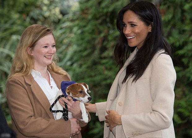 Hoàng tử Harry xuất hiện với diện mạo mới gây tranh cãi khiến Meghan bị chất vấn, xấu hổ không nói nên lời - Ảnh 2. Hoàng tử Harry xuất hiện với diện mạo mới gây tranh cãi khiến Meghan bị chất vấn, xấu hổ không nói nên lời - Ảnh 2.