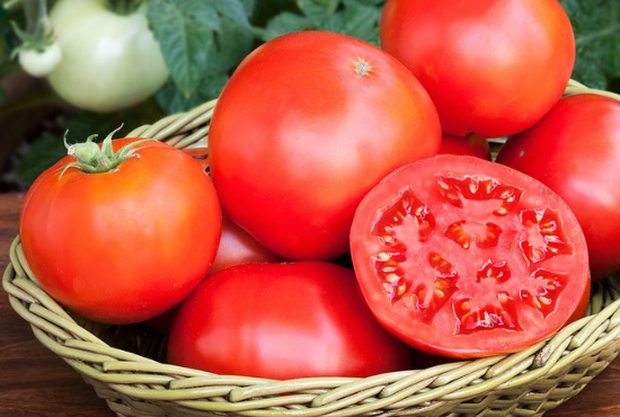 Đi chợ, thấy cà chua có 3 ĐẶC ĐIỂM này dứt khoát đừng mua: Có thể chứa độc tố hoặc đã bị tiêm thuốc kích chín, người trồng còn không dám ăn - Ảnh 4.