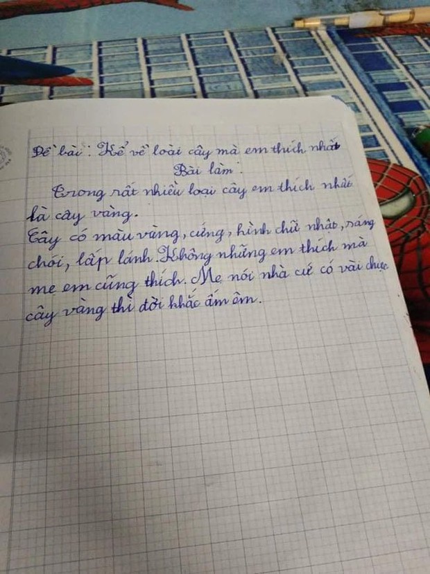 The essay describing the infamous tree of a high school student: The strangest tree in the world, after reading it, I just want to ask to live together to enjoy the richness - Photo 1.