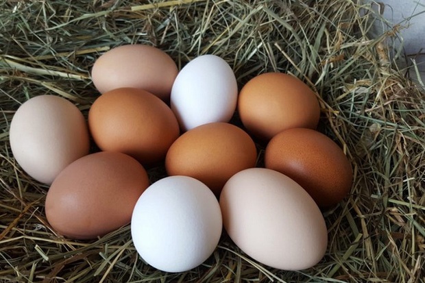 Eggs are cheap gems with health: If eaten with these 5 things, they also nourish the face and reduce weight gently, young or old can be applied - Photo 1.