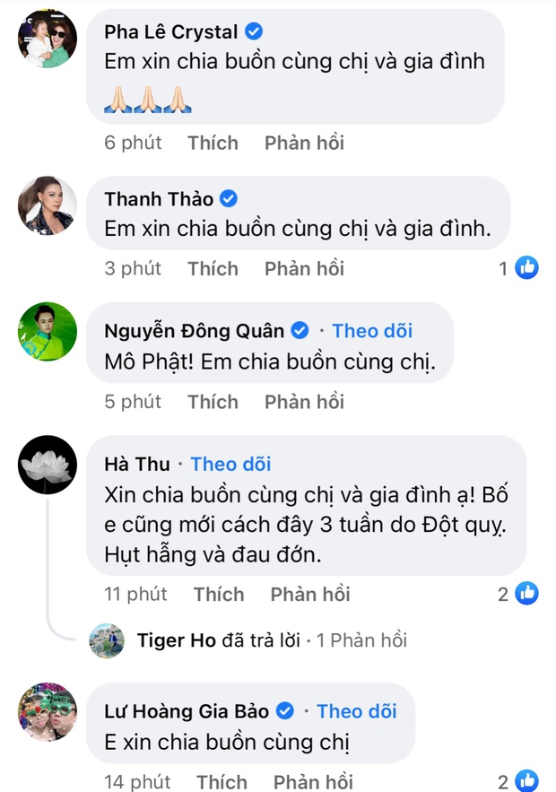 Em trai ruột của NS Như Quỳnh - ca sĩ Lê Tường Khuê qua đời - Ảnh 2.