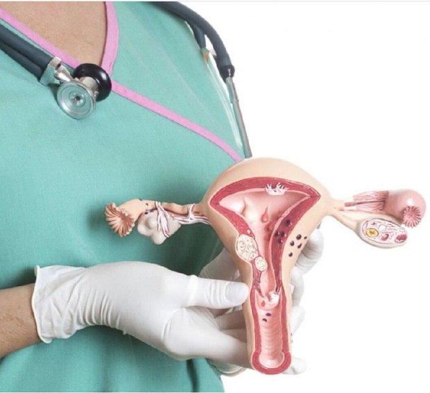 Cô gái 25 tuổi đã có buồng trứng già nua như tuổi 40, tương lai vô sinh đến nỗi bác sĩ cũng phải lắc đầu - Ảnh 2. Cô gái 25 tuổi đã có buồng trứng già nua như tuổi 40, tương lai vô sinh đến nỗi bác sĩ cũng phải lắc đầu - Ảnh 2.