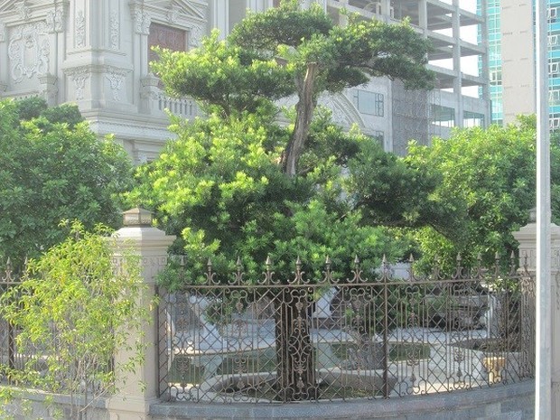 Không phải penthouse cao cấp, các đại gia đất Bắc thích vung tiền xây lâu đài và bên trong nổi tiếng phải là “TẤC GỖ TẤC VÀNG” - Ảnh 28.