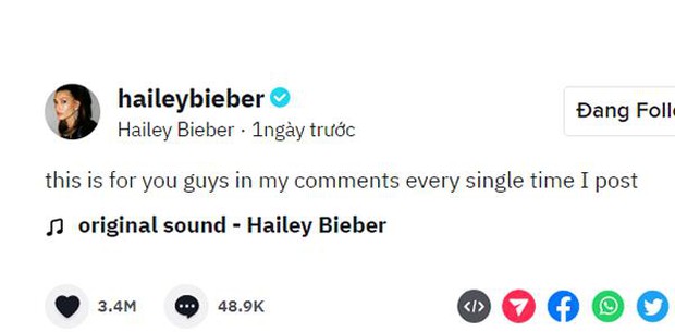 Hailey Bieber lên tiếng cầu xin cư dân mạng, tất cả là vì 1 chuyện liên quan đến Selena Gomez - Ảnh 4.