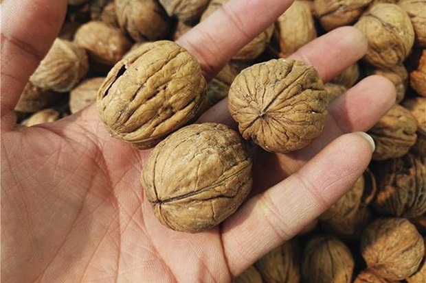 6 loại thực phẩm phổ biến, chị em nên ăn ít nếu không muốn bệnh u xơ tử cung ghé thăm - Ảnh 1. 6 loại thực phẩm phổ biến, chị em nên ăn ít nếu không muốn bệnh u xơ tử cung ghé thăm - Ảnh 1.