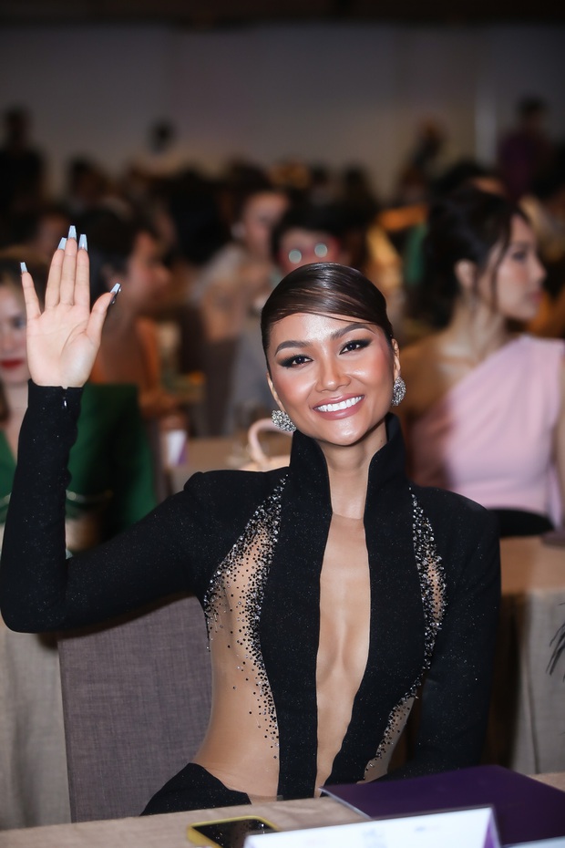 HHen Niê lộ diện sexy hết nước chấm ở họp báo Miss Universe Vietnam, cổ áo khoét sâu đến tận... rốn - Ảnh 3.