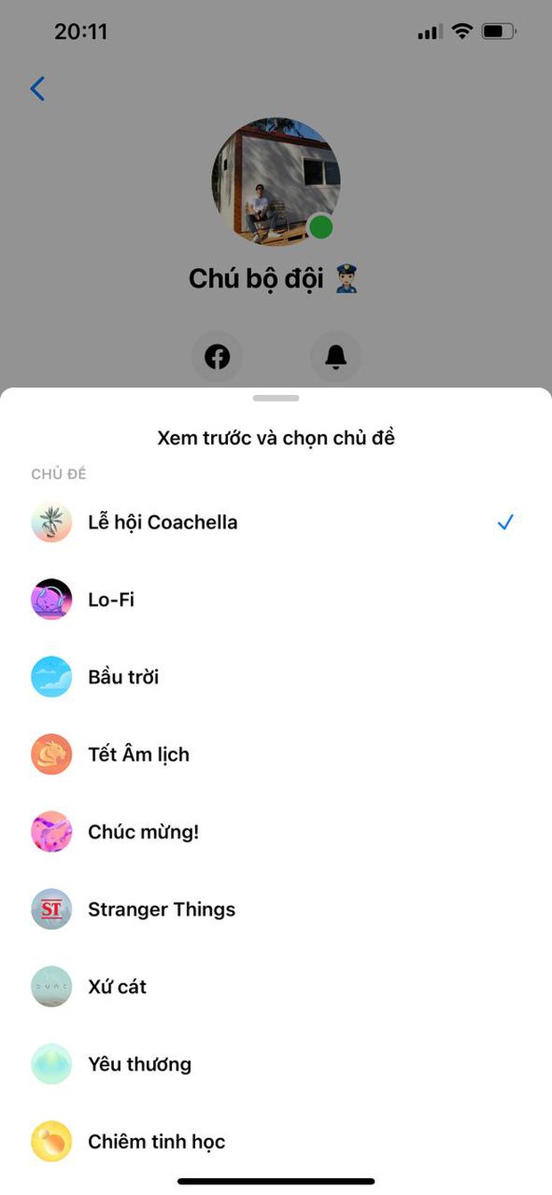 Messenger cập nhật theme cực xinh mừng lễ hội Coachella, ai không đi được thì ở nhà chit chat cho có không khí! - Ảnh 2.