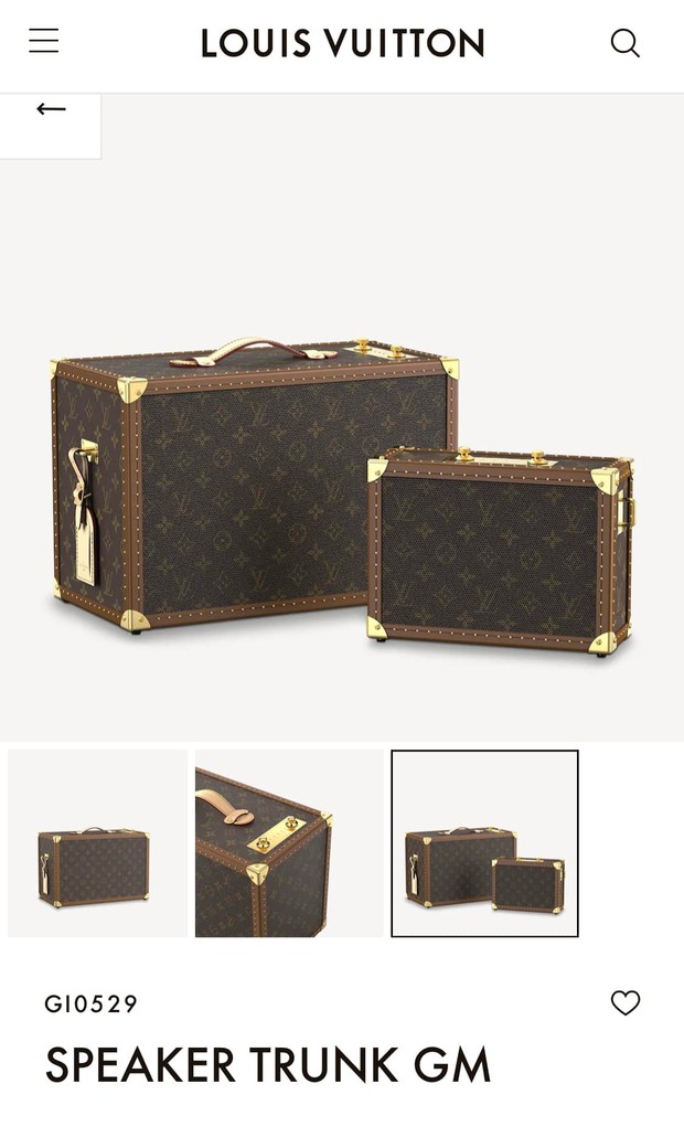 Cận cảnh chiếc loa Louis Vuitton giá 253 triệu đồng mà NTK Thái Công phải tay xách nách mang ở sân bay! - Ảnh 9.