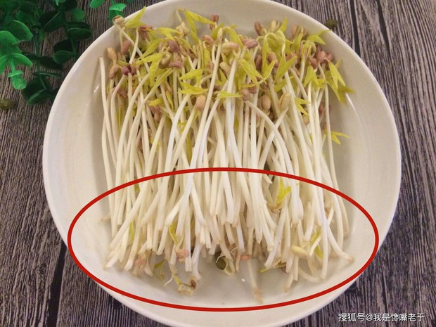 Đi chợ mua rau củ, nếu thấy 5 loại có đặc điểm này thì chớ nên mua vì người bán hàng cũng chưa chắc dám ăn - Ảnh 1. Đi chợ mua rau củ, nếu thấy 5 loại có đặc điểm này thì chớ nên mua vì người bán hàng cũng chưa chắc dám ăn - Ảnh 1.