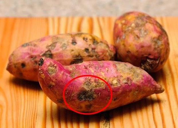 Đi chợ mua rau củ, nếu thấy 5 loại có đặc điểm này thì chớ nên mua vì người bán hàng cũng chưa chắc dám ăn - Ảnh 3. Đi chợ mua rau củ, nếu thấy 5 loại có đặc điểm này thì chớ nên mua vì người bán hàng cũng chưa chắc dám ăn - Ảnh 3.