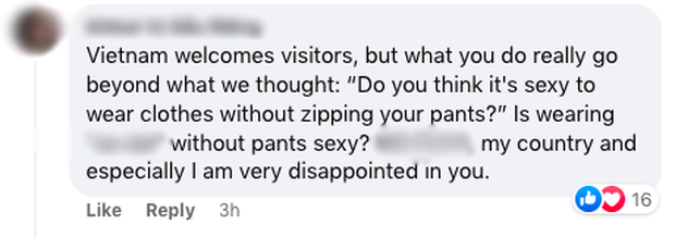 Netizen Việt tràn vào Facebook nữ du khách tạo dáng phản cảm ở Hội An: Mời chị mặc quần và đi về giùm! - Ảnh 4.