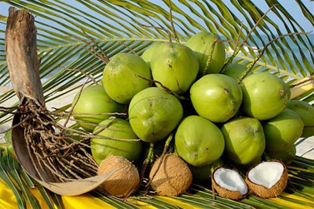 Tiết lộ cách chọn dừa cực nhiều nước lại siêu ngọt, chỉ dân trồng dừa mới rõ, đến người bán cũng bị hớ vì không biết - Ảnh 4.