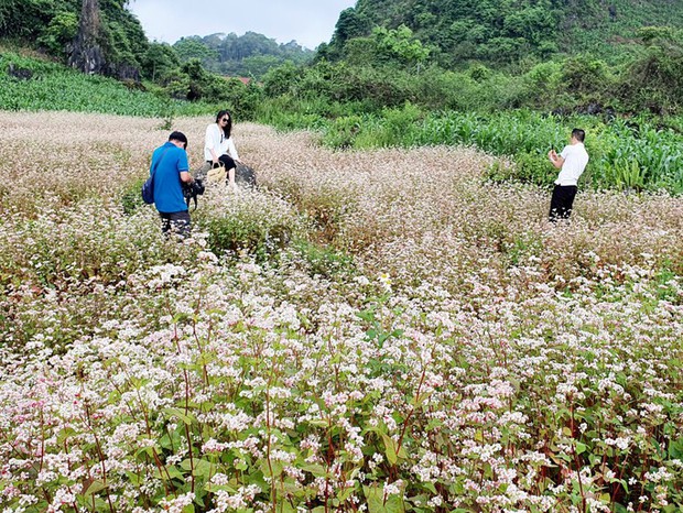 Ngỡ ngàng ngắm hoa tam giác mạch trái mùa ở Hà Giang khiến nhiều du khách không khỏi ngạc nhiên và thích thú - Ảnh 6.