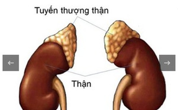 Nở rộ các chế độ ăn đặc biệt: Bác sĩ chỉ ra sai lầm cần tránh và bài học từ Nhật Bản - Ảnh 3.