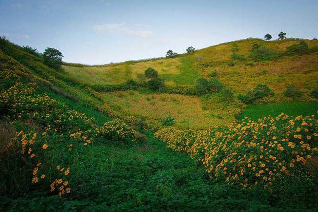 Thiên đường mới nổi ở Tây Nguyên: Miệng núi lửa uốn lượn giữa thiên nhiên hoang sơ, mỗi mùa lại được nhuộm màu bởi một loài hoa đẹp như cổ tích - Ảnh 6.