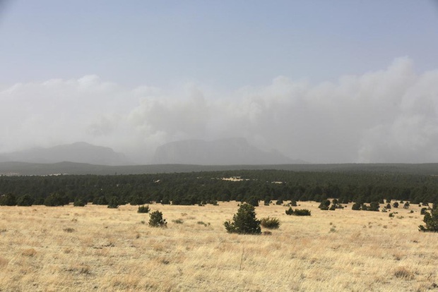 Cháy rừng kỷ lục tại Mỹ: Hàng nghìn người ở bang New Mexico sẵn sàng sơ tán - Ảnh 7.