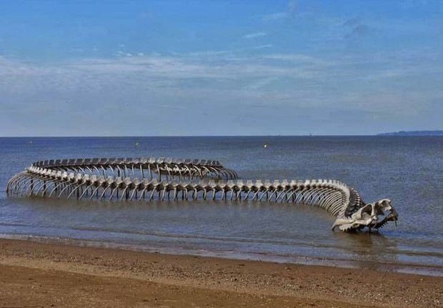 Mặc cho hình ảnh bộ xương quái vật khổng lồ trồi lên giữa mặt biển gây sợ hãi, du khách vẫn nườm nượp đến check-in - Ảnh 2.