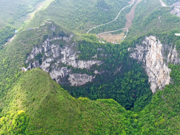Phát hiện rừng cổ thụ dưới hố sụt ở Trung Quốc - Ảnh 1.