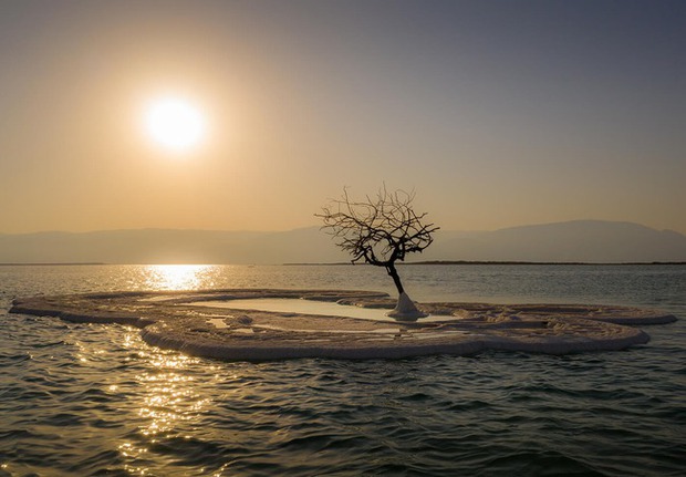 In the middle of the Dead Sea, there is an island as white as snow, containing a miracle that surprises the whole world - Photo 5.