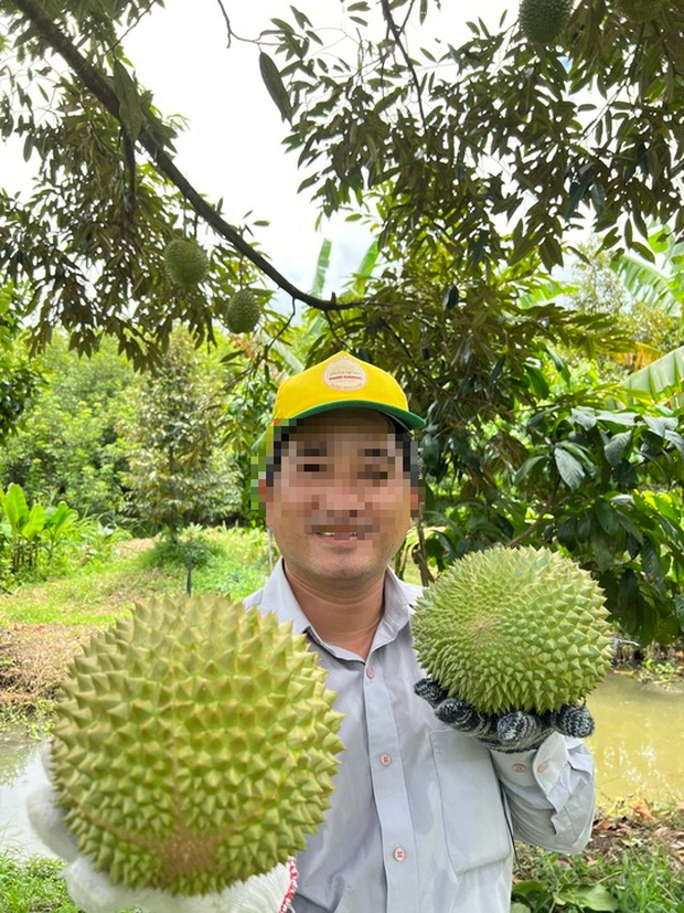 Unexpected revelation about the man selling durians for 800,000 VND/kg - Photo 3.