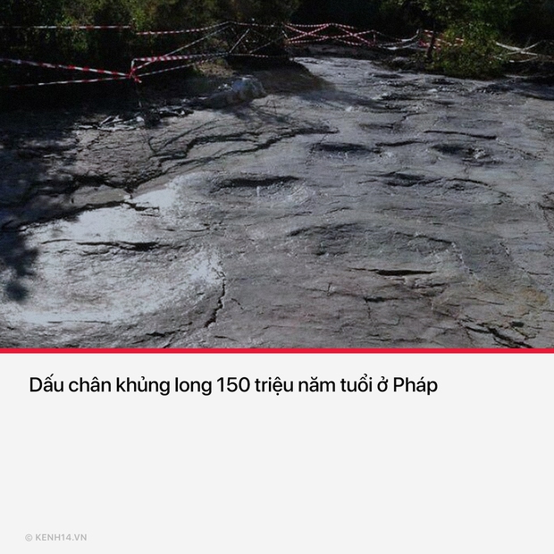 17 bức ảnh lịch sử mang tính bước ngoặt trong lịch sử nhân loại - Ảnh 14. 17 bức ảnh lịch sử mang tính bước ngoặt trong lịch sử nhân loại - Ảnh 14.