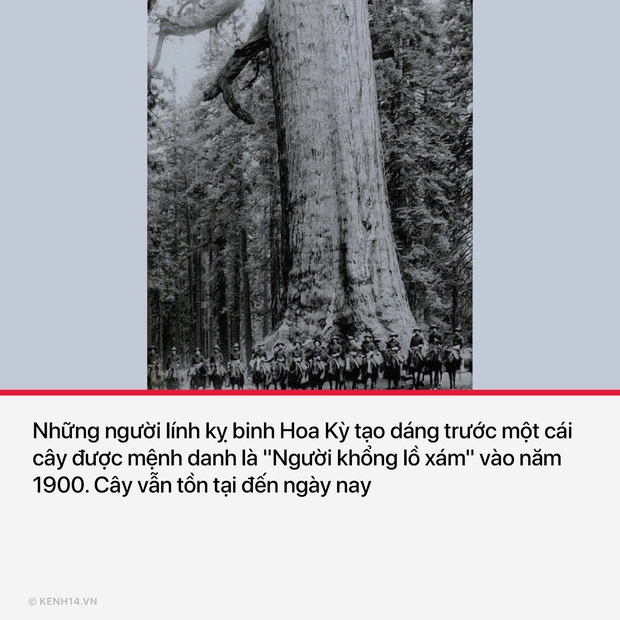 17 bức ảnh lịch sử mang tính bước ngoặt trong lịch sử nhân loại - Ảnh 9. 17 bức ảnh lịch sử mang tính bước ngoặt trong lịch sử nhân loại - Ảnh 9.