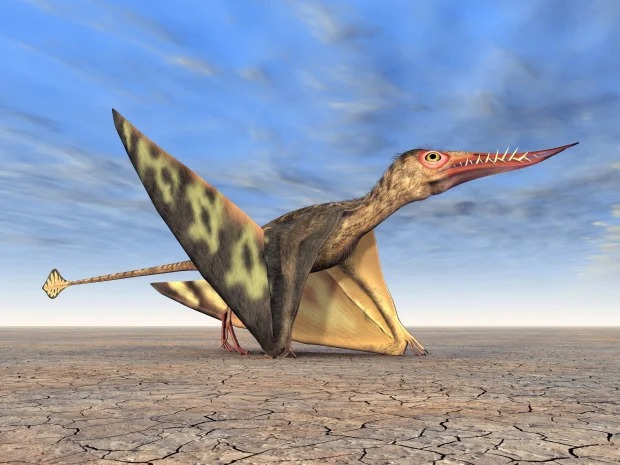 Khai quật xương hóa thạch khổng lồ, các nhà khoa học ngỡ ngàng về loài vật biết bay sống cách đây 86 triệu năm - Ảnh 2.