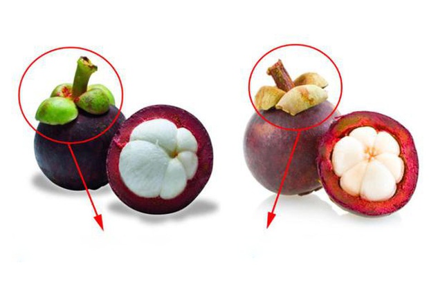 Buy damaged mangosteen, tell you to look at one place on the peel, make sure that any fruit is delicious - Photo 3.