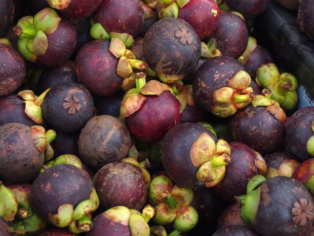 Buy damaged mangosteen, tell you to look at one place on the peel, make sure that any fruit is delicious - Photo 6.