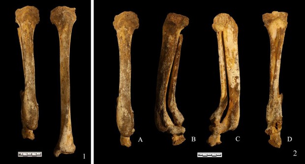 Phát hiện hài cốt phụ nữ có niên đại 3.000 năm, nhóm nghiên cứu hé lộ danh tính gây ngỡ ngàng qua đúng một chi tiết ở bàn chân - Ảnh 2.