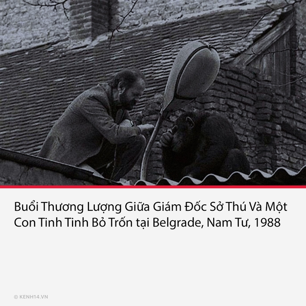 17 bức ảnh lịch sử mang tính bước ngoặt trong lịch sử nhân loại - Ảnh 8. 17 bức ảnh lịch sử mang tính bước ngoặt trong lịch sử nhân loại - Ảnh 8.