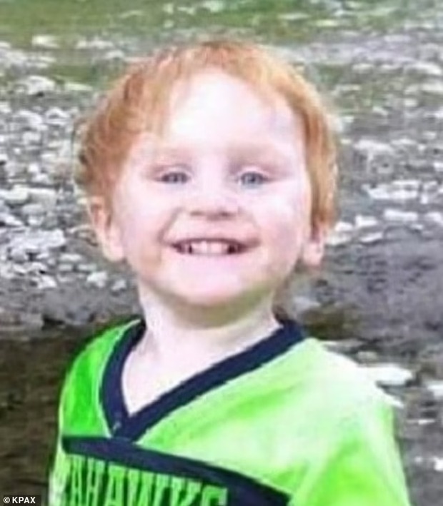 Bé trai 4 tuổi sống sót kỳ diệu sau 2 ngày mất tích, nơi được tìm thấy khiến người lớn kinh ngạc - Ảnh 3.