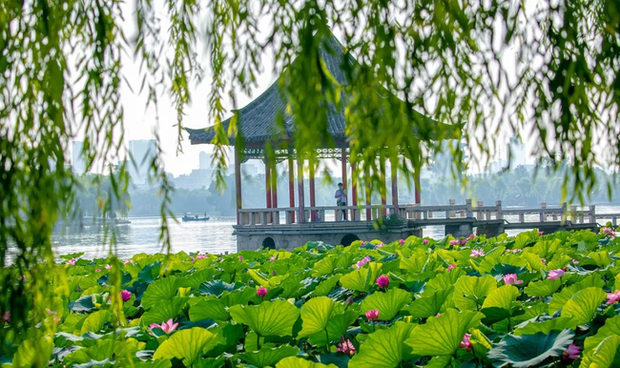 Hiện tượng lạ ở hồ nước đẹp như phim cổ trang ở Trung Quốc: Ếch nơi đây không bao giờ kêu vì 3 nguyên nhân - Ảnh 6.