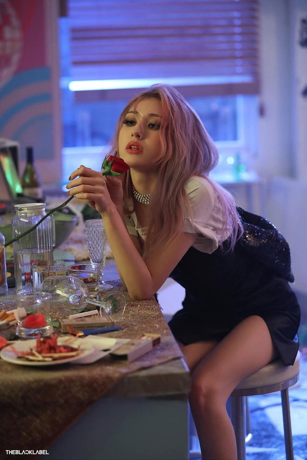 14 tài năng bị bỏ phí nhất Kpop: Có đến 2 thành viên 2NE1, bông hồng lai Somi cũng được điểm tên - Ảnh 16.